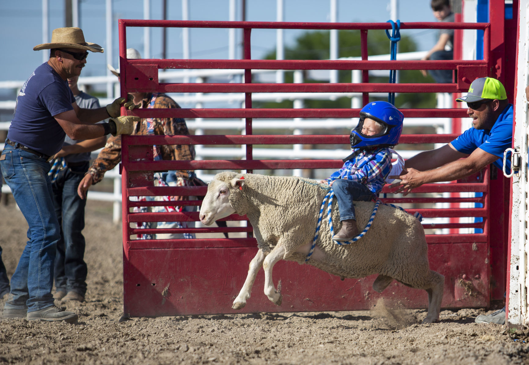 Mutton Busting in Minidoka